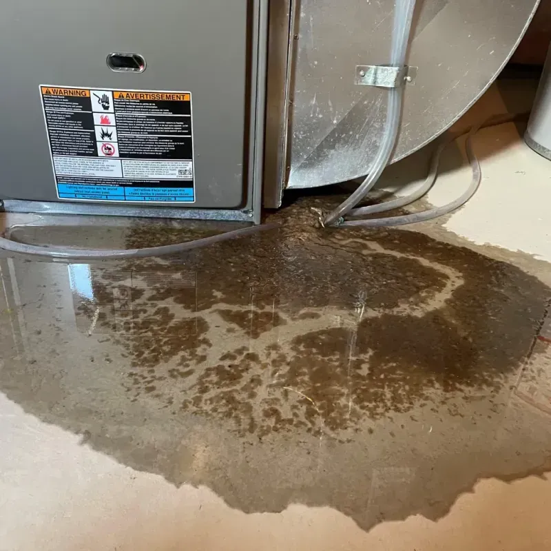 Appliance Leak Cleanup in Middletown, CA